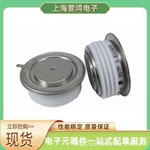 5STP45N2200 5STP45N2600 5STP45N2800�rԔԃ �ɿع�ģ�K�F؛���