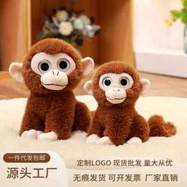 跨境金貂大眼猴可爱大眼睛猴子公仔毛绒玩具动物玩偶金丝猴布娃娃