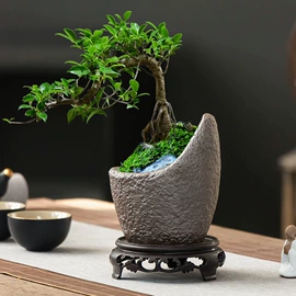 花盆容器;花盆装饰;家用烟灰缸