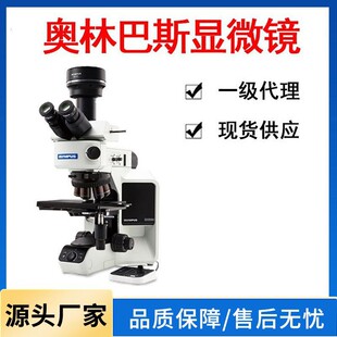 һ������W�ְ�˹�@΢�Rcx23�W�ְ�˹���ý��������wҕ�@΢�R�F؛