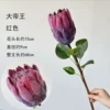 Great Emperor-Red