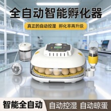 厂家直营跨境全自动孵化器小鸡鸟蛋鸡蛋小飞碟孵蛋器热卖雏鸡