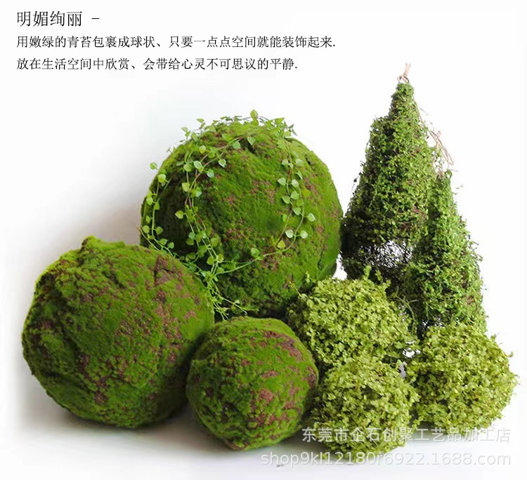 苔藓球