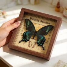 �G�����P��������˱���Ʒ�Y��[���쮋�b�Ů�����նY��DŮ��