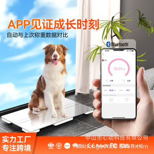 Manufacturer's New Large 300kg Pet Hospital Weight Scale Foreign Trade Accurate Dog and Cat Home Pet Weighing Ready Stock