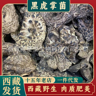 ����Ұ���ڻ��ƾ��خa��؛���ƾ���Ģ��Ұ�����������Ӿ�