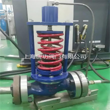 �ܵ�����ʽ�����{���yZZYP-16C���I偠t�����p�������yDN20-DN400