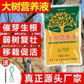 树木营养液吊针液果树通用型移栽树苗生根剂大树营养液输液袋`