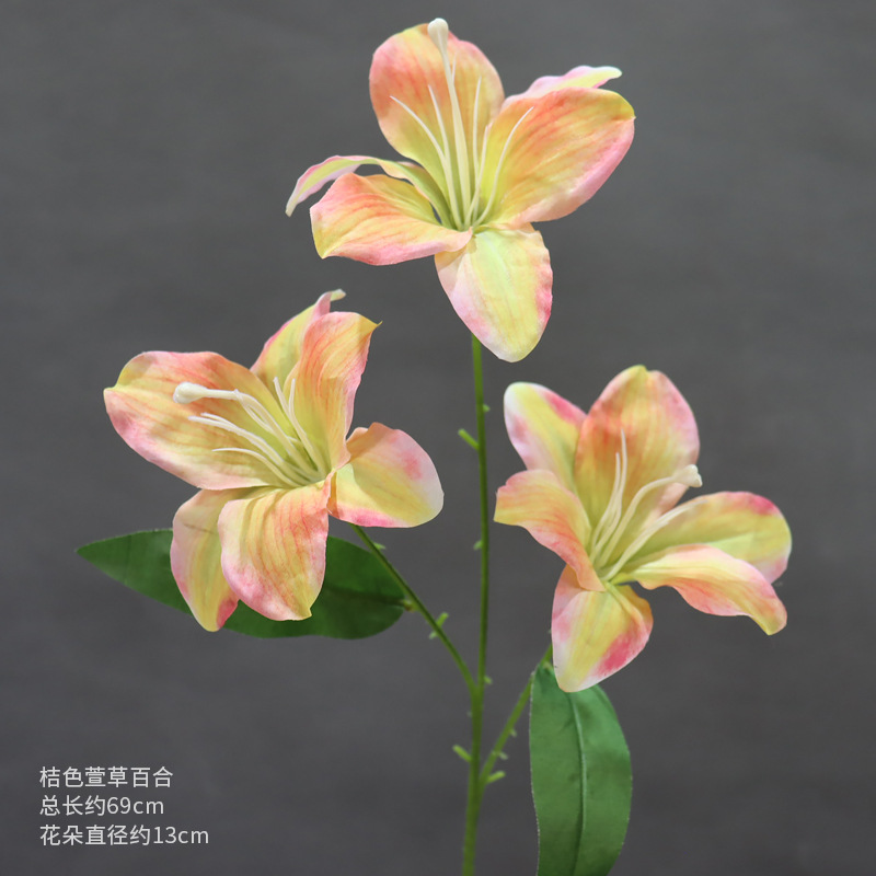 Lirio de azucena naranja