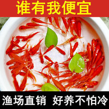 �^�p�~�ݽ��~С�͵�ˮ�ͻ���ˮ���B���~�w���B�J������~�t�a�~��