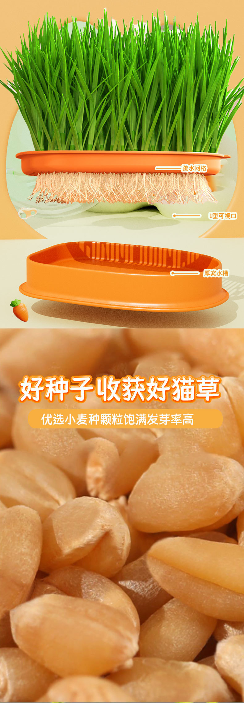 猫草盆栽无土水培猫草盒小麦种子化毛球猫草小麦苗猫薄荷猫咪零食阿里巴巴