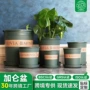 环球定制加厚透气加仑盆