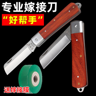 Foldable Fruit Tree Grafting Special Knife Film Grafting Tools Full Set of Big Tree Grafting Tree Rack Grafting Hand Knife Grafting Artifact