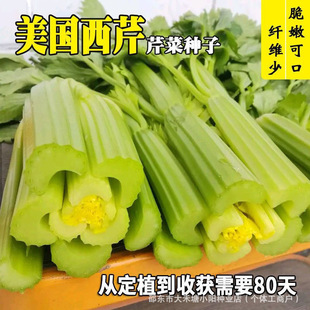 �������۷N�ӌ����۴�������۷N���＾�ļ����N���۷N��������@