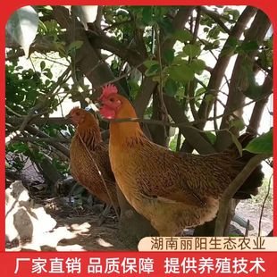 �������_���u����_���u�������S���u���a�G�����u��ɢ�B���u��