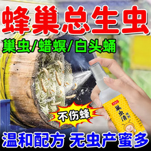 巢虫喷雾专用助剂药中蜂专用蜂箱养蜂用工具雾状方便巢虫清木片