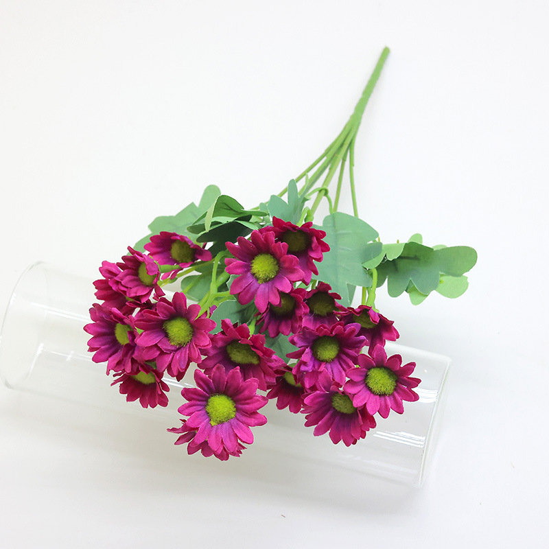 연꽃색(21개의 작은 데이지)