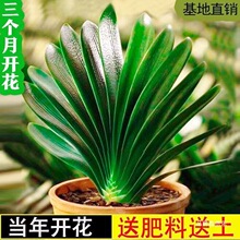 �����m�������m���Ծ����m���ļ�����ֲ���҃��k���Һ��Bϲ�aˮ��