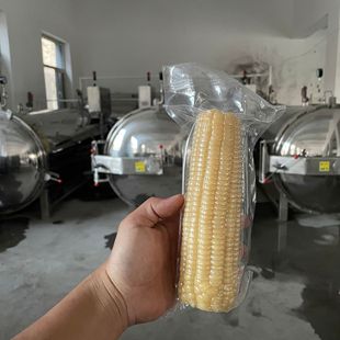 ���ζ�������֭��ʿ�����C�{ݮ���u�㴻ѿ���b�͜�Ư�C�����C�S