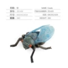 Zq1455 cicada 28g