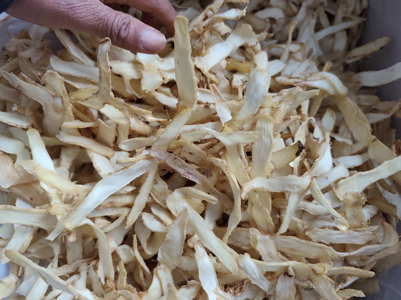 Hunan Yu Zhu Dried Polygonatum Slices 500g Yu Zhu Soup and Culinary Herb in use