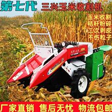 ¿dװոCСLնժյаƤ