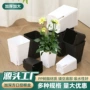 多肉加厚绿植育苗盆