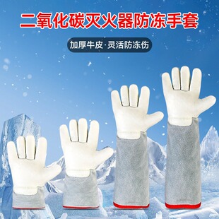 ���������ڱ������͵͜�ţƤ�������LNG�Ӛ����� ����ҷ�Һ��