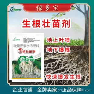 Improving the resistance of rooting and seedling strengthening agent for rapid rooting trace elements water-soluble fertilizer