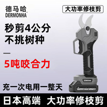 40mm늄Ӽ���������֦��늄��늳ش��ʴ��_�ڳ��ʽ��֦늼���