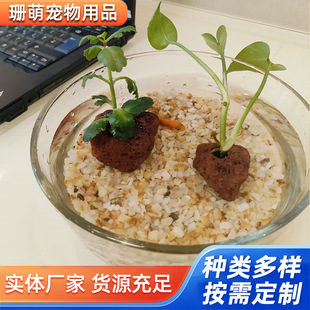 ˮ��ɰ�~���쾰��ɰ�����a��䁵��Bֳ���ú�ɳ����Ϫ��ɳ���S��ɳ