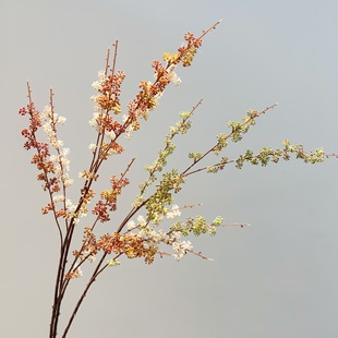 ��ꖷ�����ɫС�׹������m�廨������m���Ҿӿ͏d�҃��b���֦