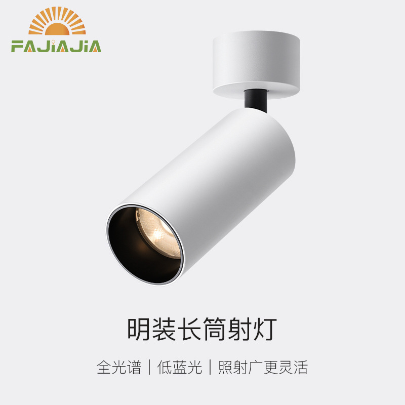 Ceiling-free Creative Home Lamp Adjustable Angle Folding Ceiling Wash Wall Photo Painting Full Spectrum Ming-mounted Long Barrel Spotlight