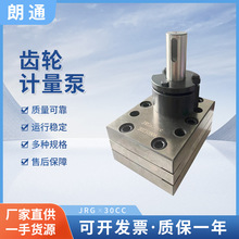 JRG*30CC齿轮计量泵 纸盒印刷机胶泵 热熔胶用泵灌胶泵纺丝计量泵