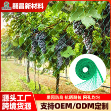 Bird net防鸟网 果树葡萄架拦鸟网罩鱼塘养殖网菜园果园防鸟网