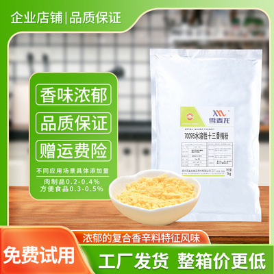 雪麥龍商用水溶性十三香精粉 鹵肉 燒烤 炒菜 醬腌菜用十三香粉