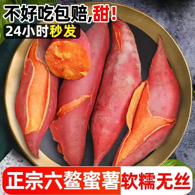 Фуцзянь Люао сладкий картофель свежий сладкий картофель Сладкий картофель