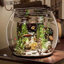 鱼缸小型家用仿玻璃耐摔客厅办公室金鱼绿植微景观生态缸新款宠物