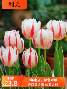 �M��ʮ�w�������N���ﶬ�ͺ����������ļ���ˮ��N���̨�L����