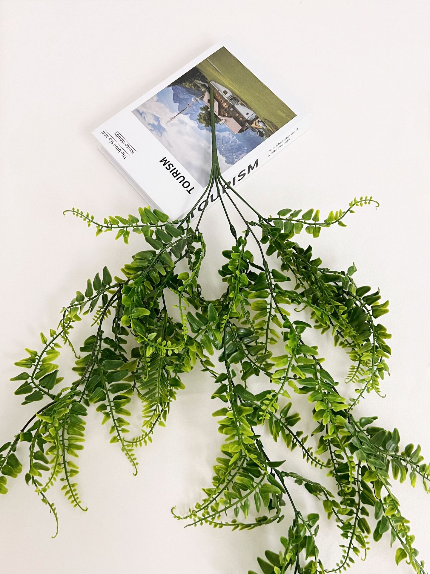 微信图片_20220705143021