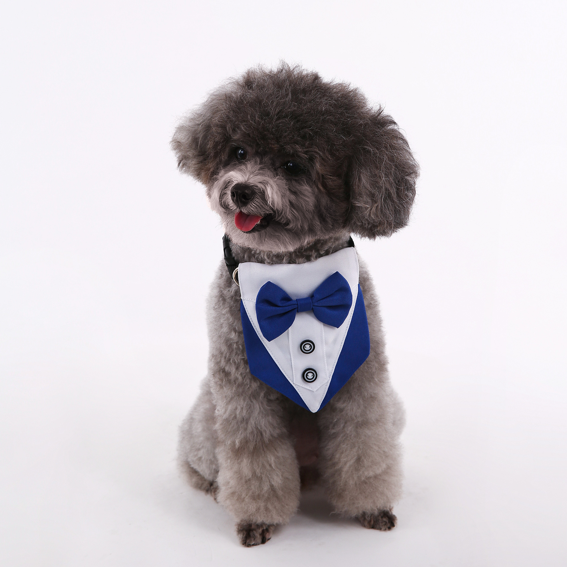 Transfronterizos nuevos trajes de boda de estilo británico perros y gatos toallas de saliva de boda toallas de triángulo para mascotas bufandas suministros