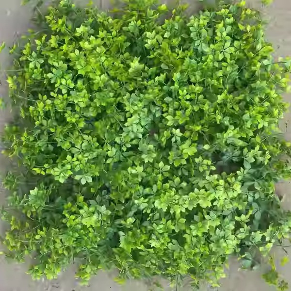 模擬植物壁緑植物背景壁ミラノプラスチック偽芝生ドアヘッド室内装飾植物花壁芝生|undefined