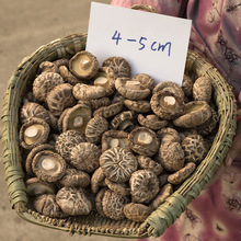 花菇香菇干货500g新鲜椴木野生农家精选特级冬花茹营养菌菇干蘑菇