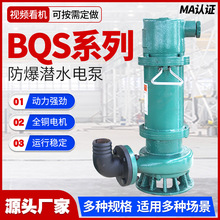 ��̩BQS ������ˮ��ɳ�� ú�V���� ú���Rȫ 1.5-315kw ��Ҏ���