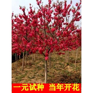 һ�����lͥԺ�^�p�һ��t�~���Ҙ������~�����繤�̾G�������~�҄e