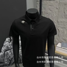 2026�ļ�����ɣ���п��¿��ٸ�POLO����ԭ�Ϳ̸߰汾��ɫ���l