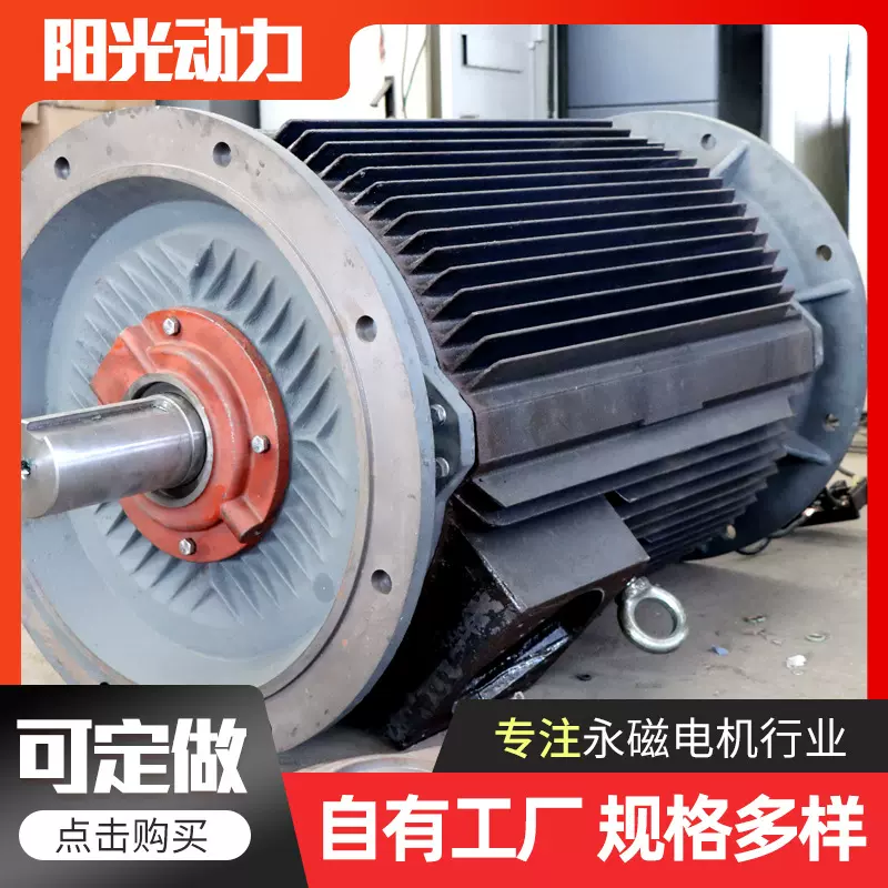 200w垂直轴风力发电机 盘式永磁风力发电机 大功率电动机