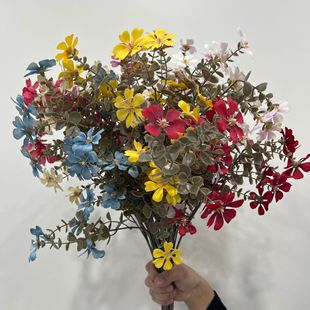 �羳СҰ����c��Y�������bƵ�zӰ���߼ٻ��S�����l