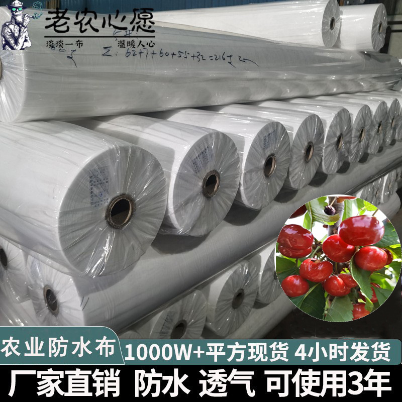 农业防水布透气超轻果树防雨水白色PP45克厂家批发无纺透气轻薄