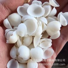 �B�^ؐ��ëؐ��Ȼؐ���������lƯ��ƿ�~�׵�̨�b����յ�����ؐ